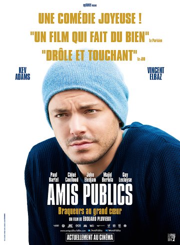 Amis publics FRENCH DVDRIP 2016