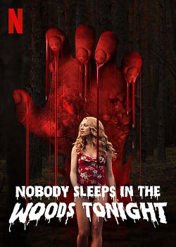 Nobody Sleeps in the Woods Tonight FRENCH WEBRIP 1080p 2020