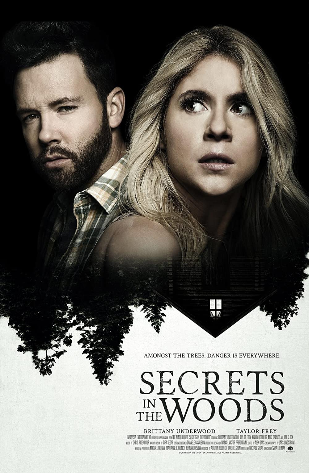 Secrets in the Woods FRENCH WEBRIP 720p 2021