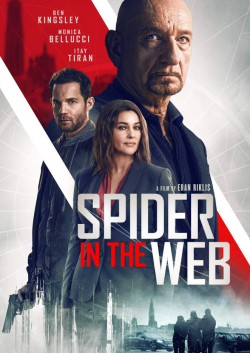 Spider in the Web FRENCH DVDRIP 2020