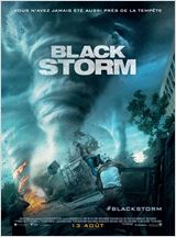 Black Storm (Into the Storm) VOSTFR DVDRIP 2014
