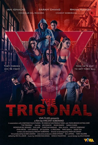 The Trigonal: Fight for Justice FRENCH WEBRIP 720p 2022