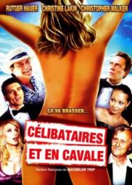 Lifes a Beach (Célibataires et en cavale) FRENCH DVDRIP 2012