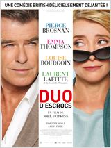 Duo d'escrocs (Love Punch) FRENCH DVDRIP 2014