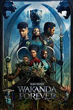 Black Panther: Wakanda Forever TRUEFRENCH HDCAM MD 2022