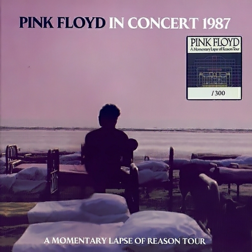 PINK FLOYD - In Concert 1987. A Momentary Lapse Of Reason Tour 2021