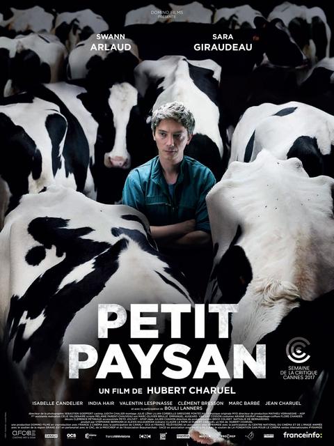 Petit Paysan FRENCH DVDRIP 2018
