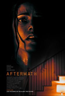 Aftermath FRENCH WEBRIP 720p 2021