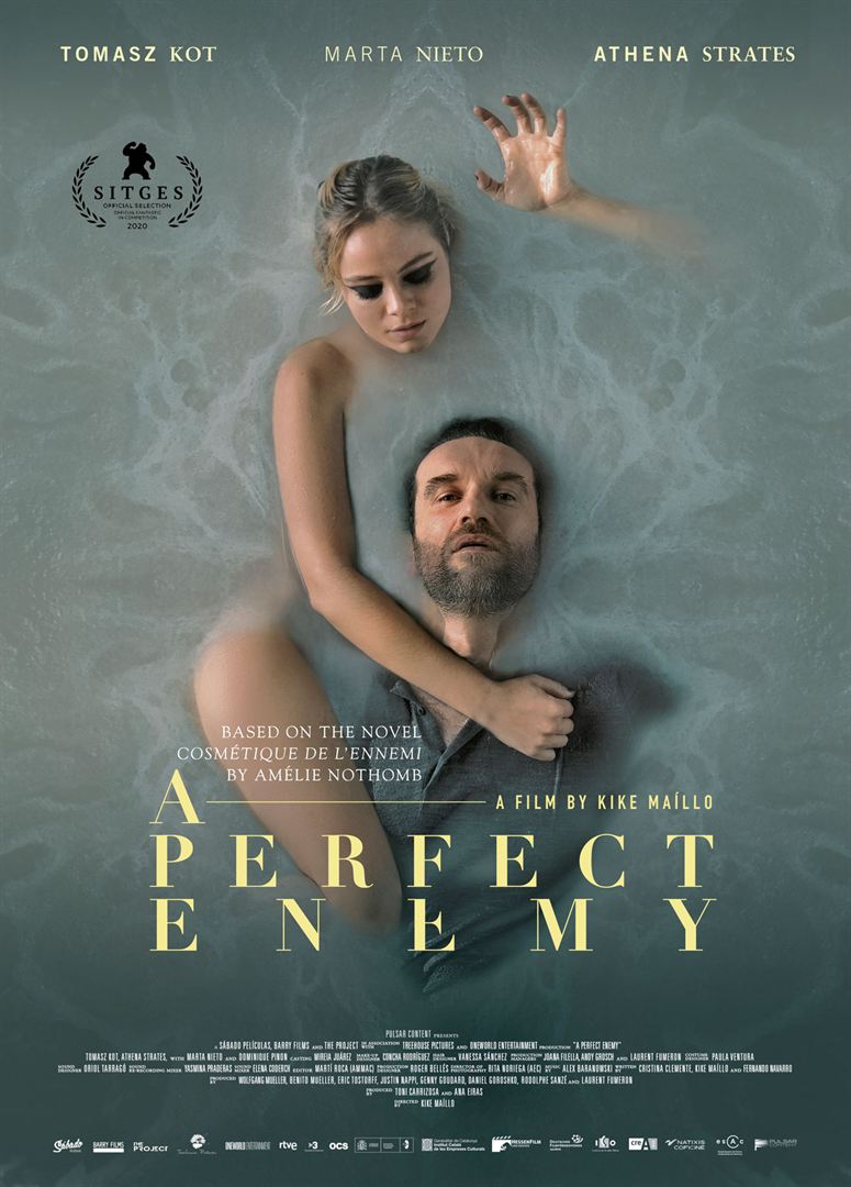 A Perfect Enemy FRENCH WEBRIP LD 720p 2021