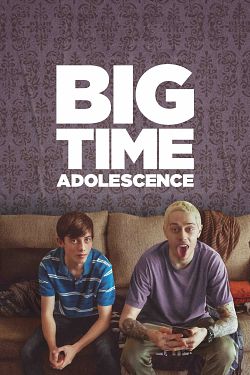 Big Time Adolescence FRENCH WEBRIP 720p 2020