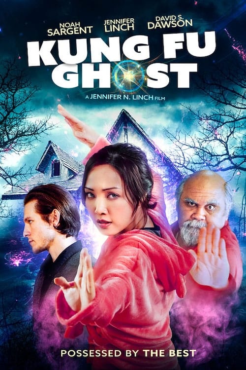 Kung Fu Ghost FRENCH WEBRIP LD 1080p 2022