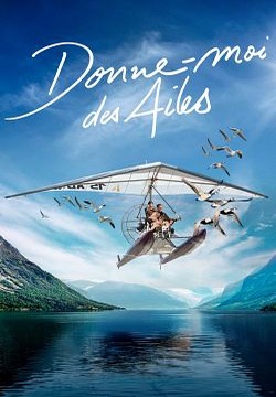 Donne-moi des ailes FRENCH BluRay 720p 2020