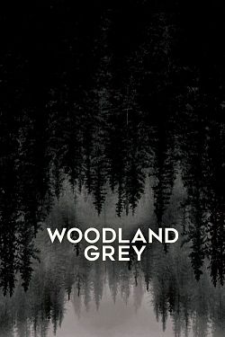 Woodland Grey FRENCH WEBRIP LD 720p 2022