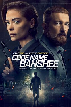 Code Name Banshee FRENCH BluRay 720p 2022