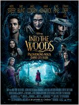 Into the Woods, Promenons-nous dans les bois VOSTFR DVDRIP 2015