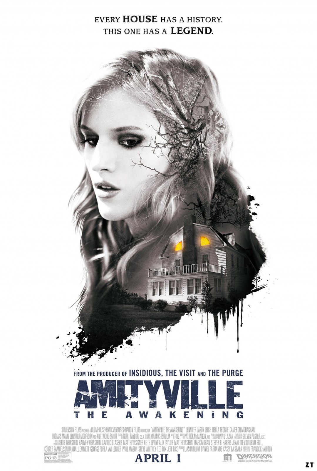 Amityville: The Awakening FRENCH WEBRIP 2017