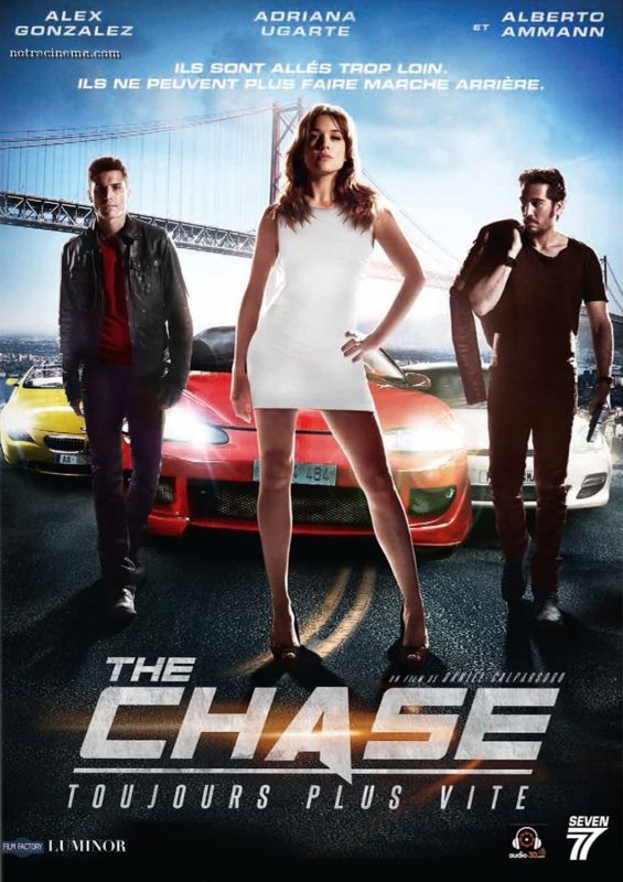 The Chase FRENCH DVDRIP 2013