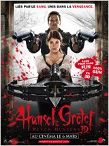 Hansel & Gretel : Witch Hunters FRENCH DVDRIP 2013 (Hansel et Gretel)