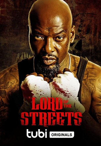 Lord of the Streets FRENCH WEBRIP LD 2022