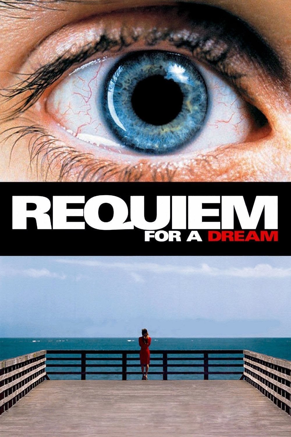 Requiem for a Dream TRUEFRENCH HDLight 1080p 2000