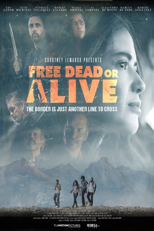 Free Dead or Alive FRENCH WEBRIP LD 720p 2022