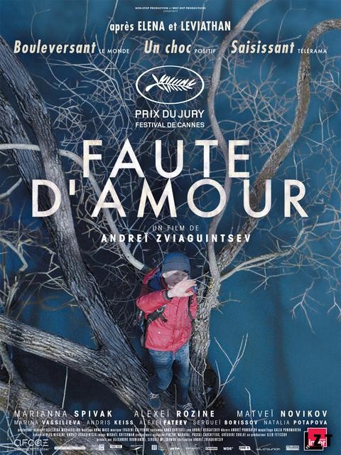Faute d'amour FRENCH BluRay 720p 2018