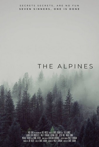 The Alpines FRENCH WEBRIP LD 720p 2021