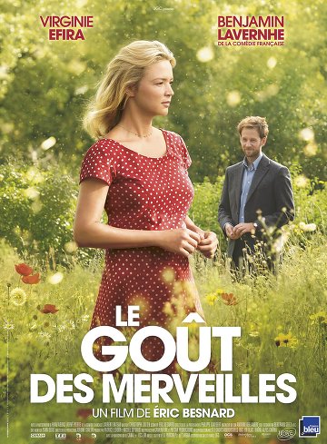 Le Goût des merveilles FRENCH DVDRIP x264 2016
